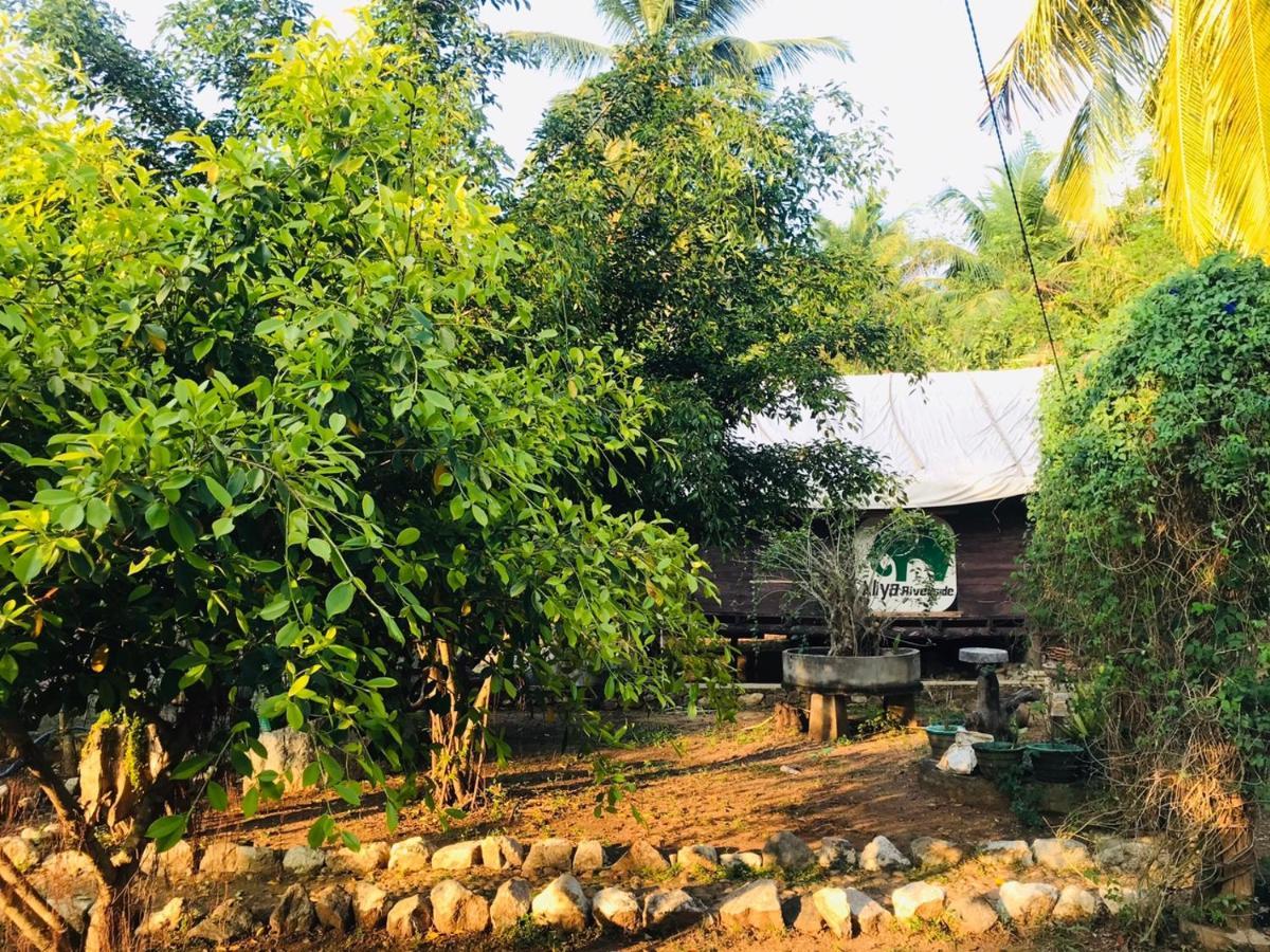 Aliya Riverside & Safari Resort Udawalawe Exterior foto