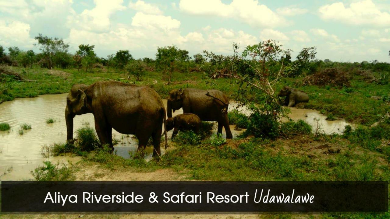 Aliya Riverside & Safari Resort Udawalawe Exterior foto