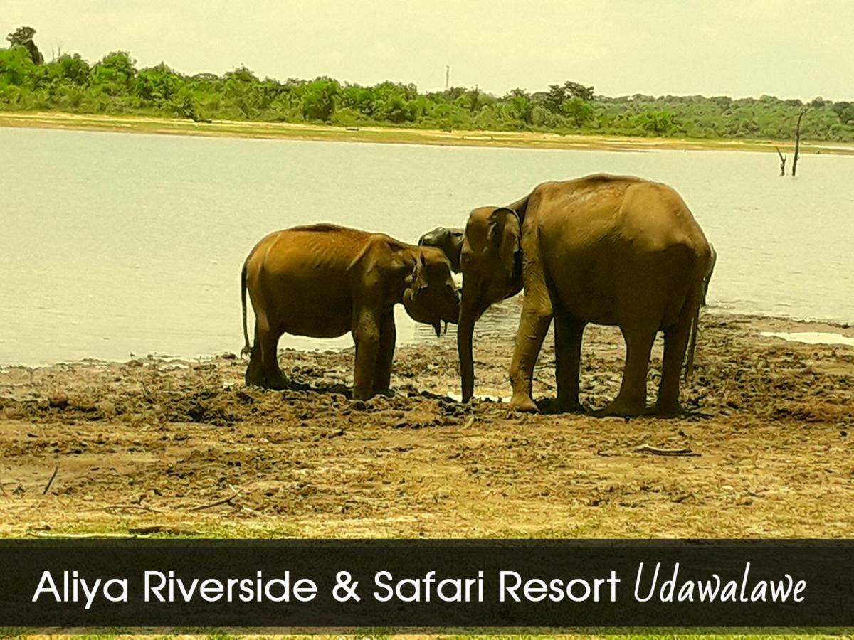Aliya Riverside & Safari Resort Udawalawe Exterior foto